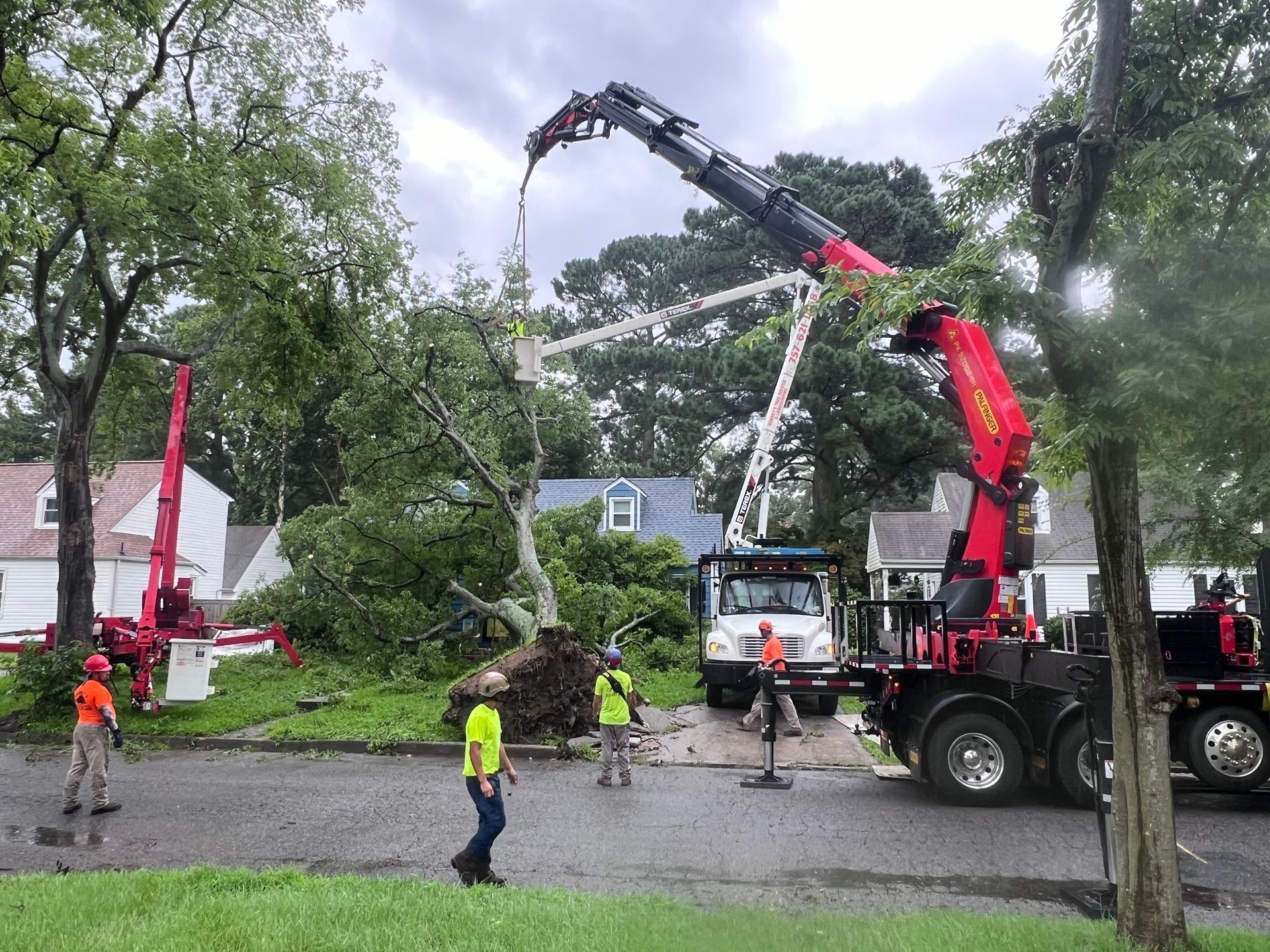 Tree removal in a residential street; cranes lift tree limbs. Workers in safety vests. Overcast day.