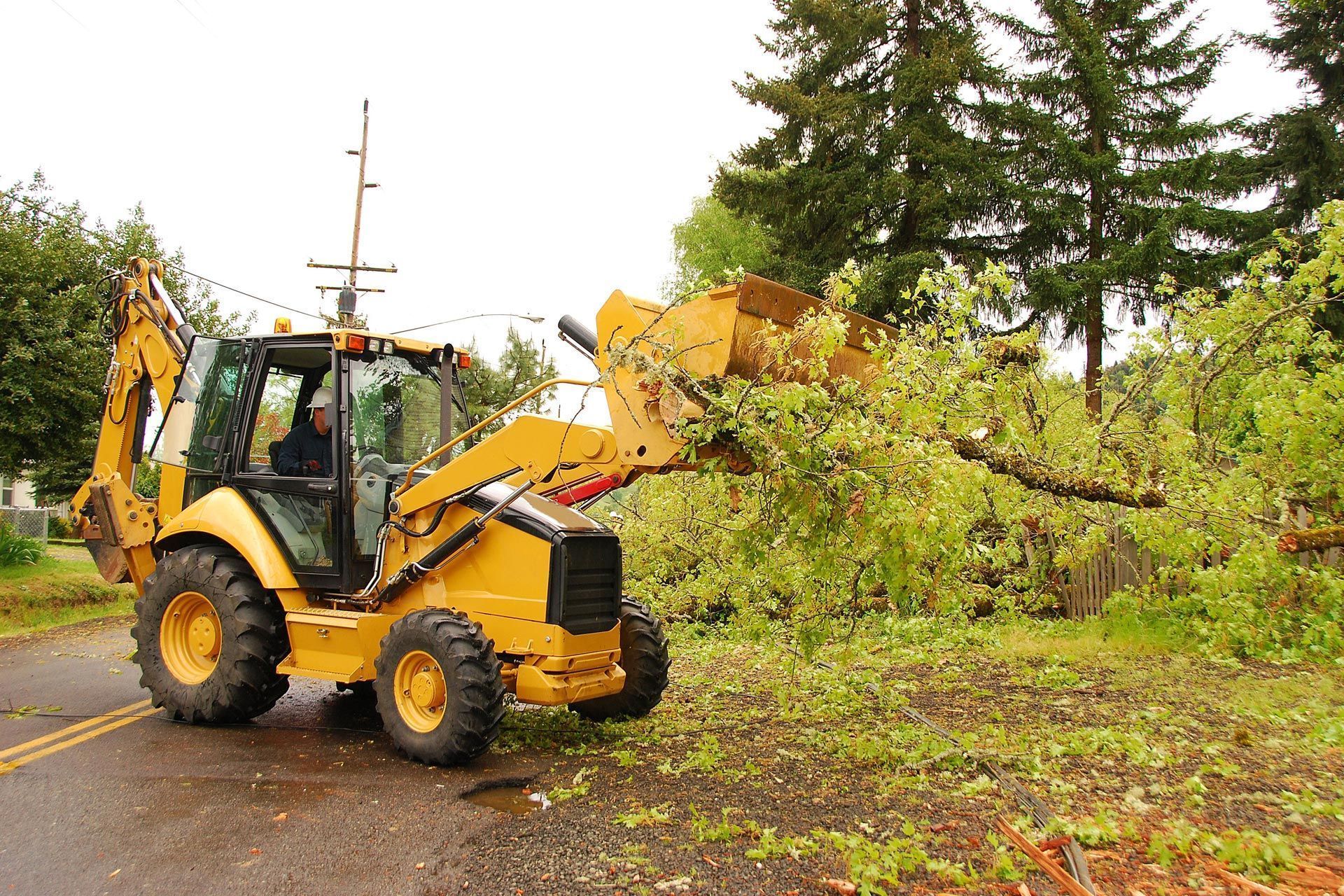 Yellow backhoe clearing tree debris from a wet road, person in the cab.