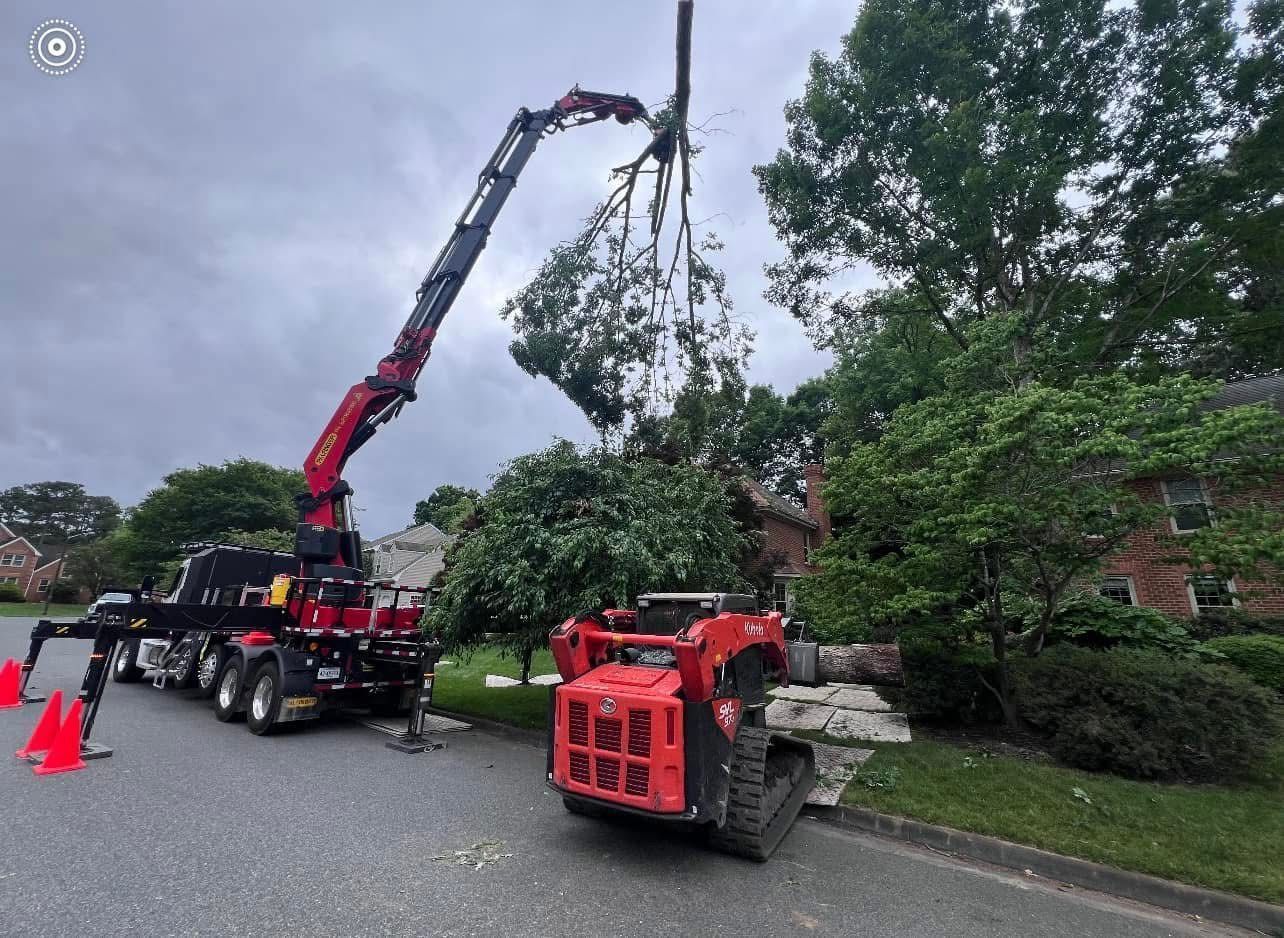 Aubrey's Tree Service & Landscaping