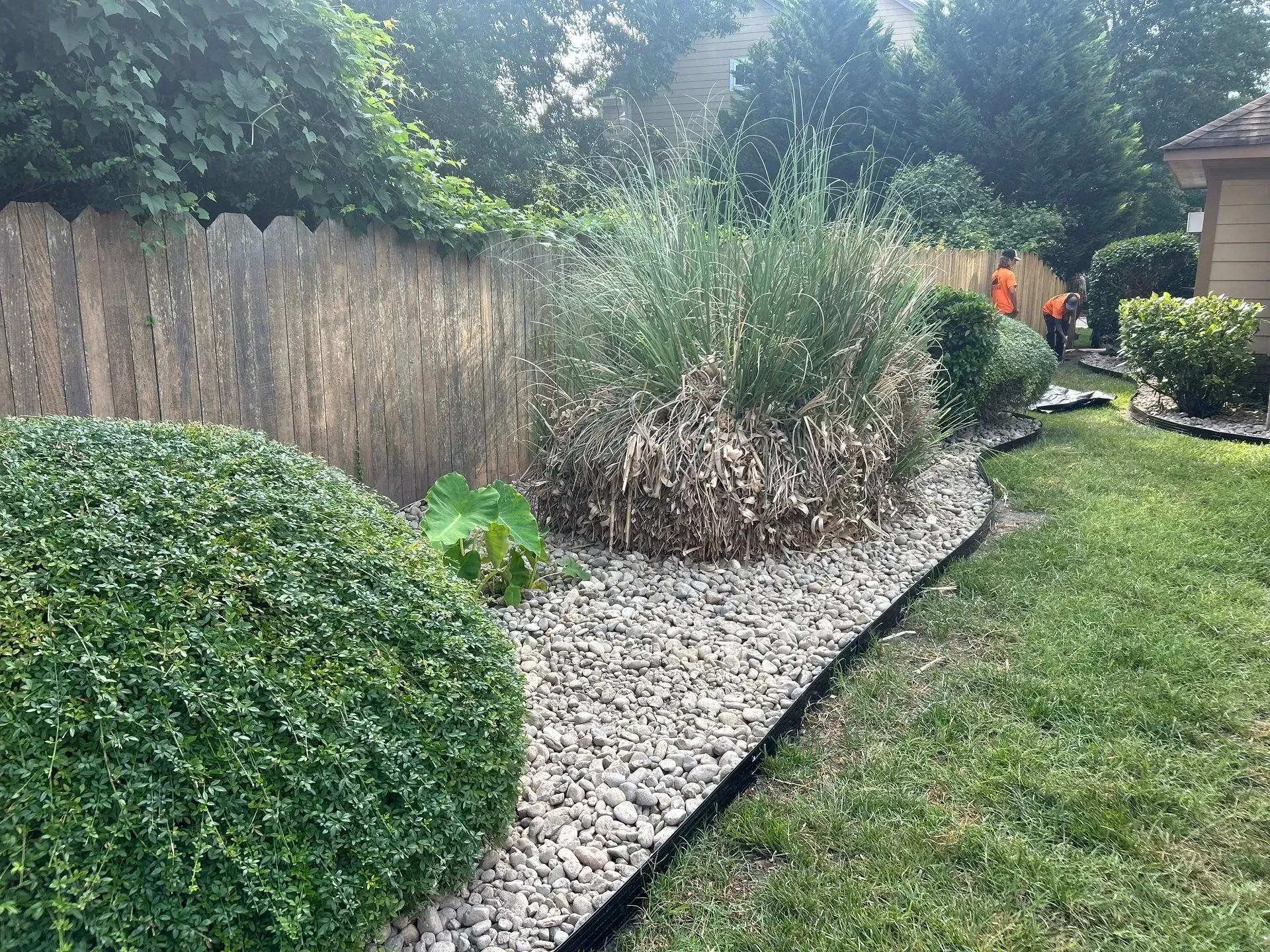 Landscaped garden bed with rocks, shrubs, grass, and a wooden fence.
