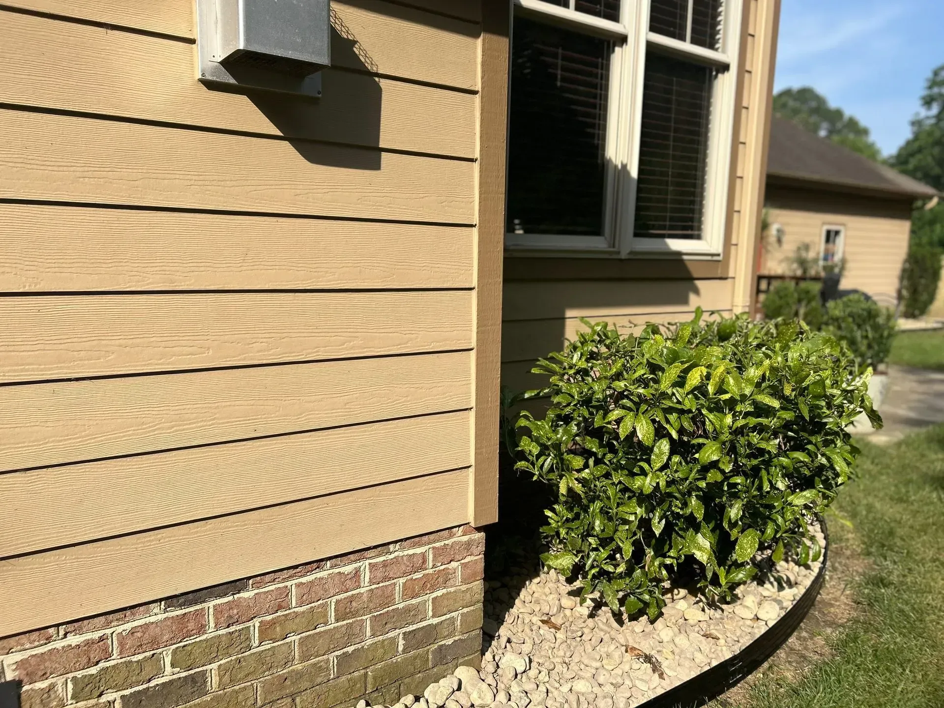 Tan siding and brick foundation on a house with a green bush and window.