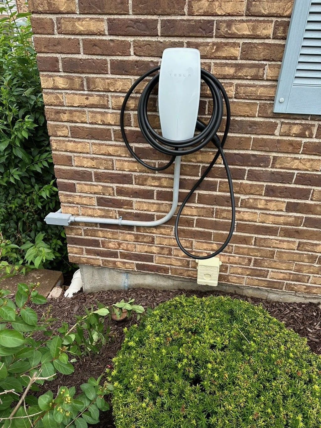 A white Tesla EV charger mounted on a brick wall with a coiled black cable; a bush below.