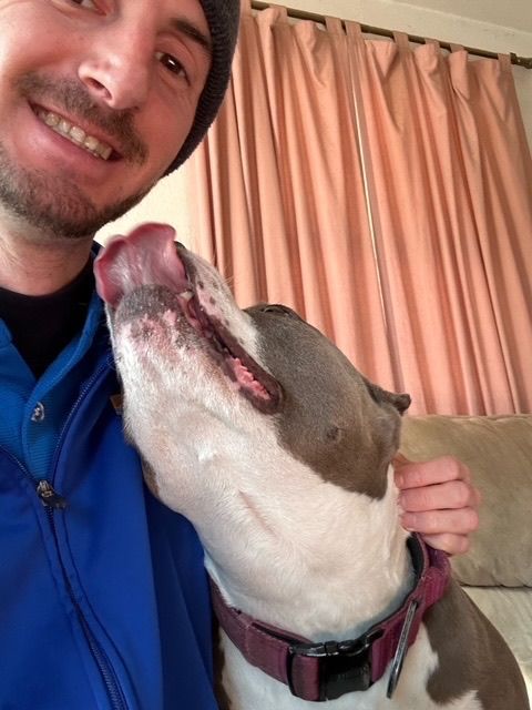 Man smiles as dog licks his face. Dog has a gray and white coat and red collar. The background has peach curtains.