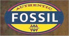 Fossil