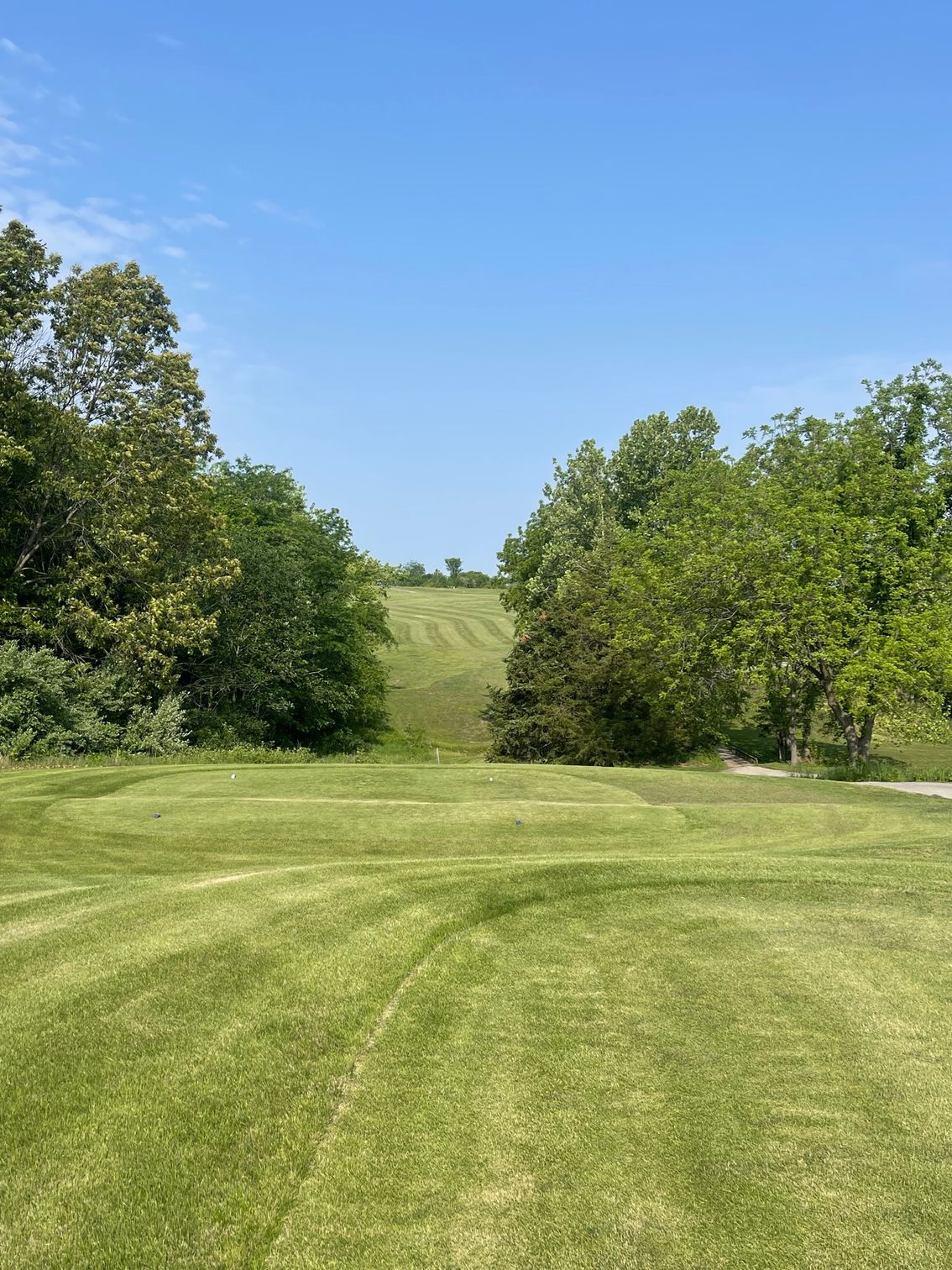 Golf course with trees