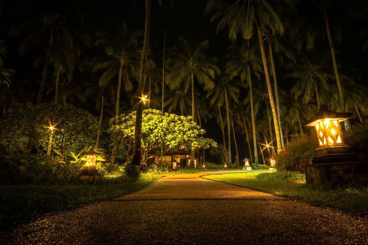 Illuminated garden path at night with palm trees and warm yellow lights