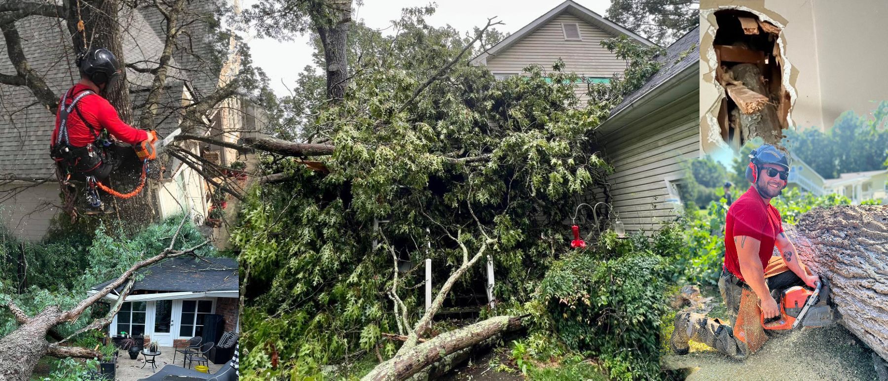A man is cutting a tree in front of a house.