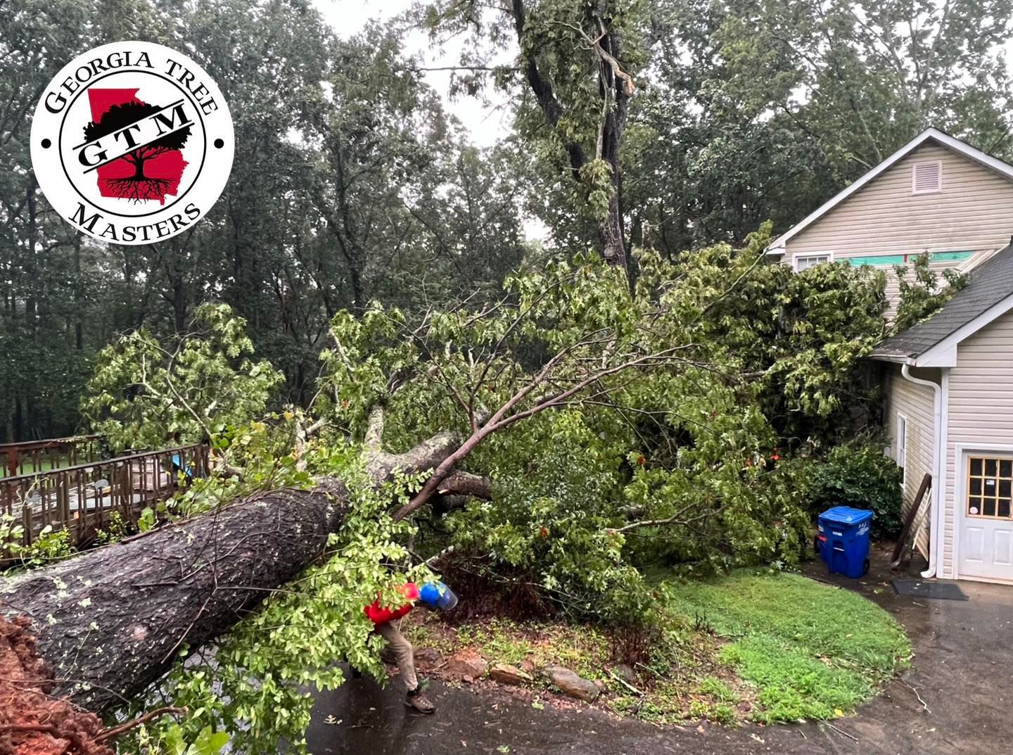 A large tree has fallen on the side of a house.