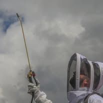 Person in a beekeeping suit holding a long pole toward a cloudy sky