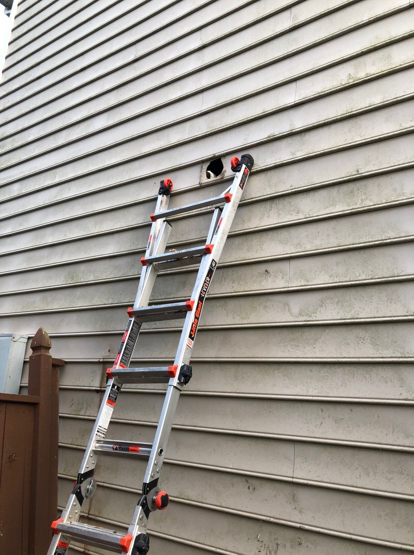 Bird nest removal from dryer vent
