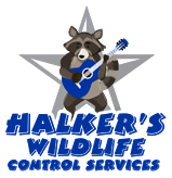 Halker's Wildlife Control Services, LLC | Logo