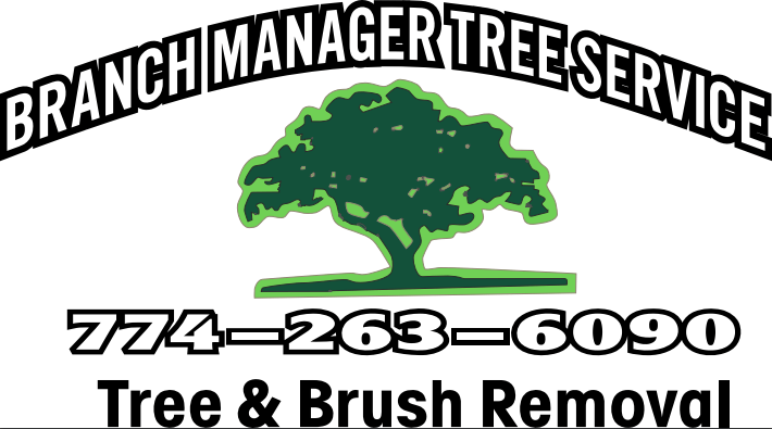 Branch Manager Tree Service Tree Removal Jefferson Ma