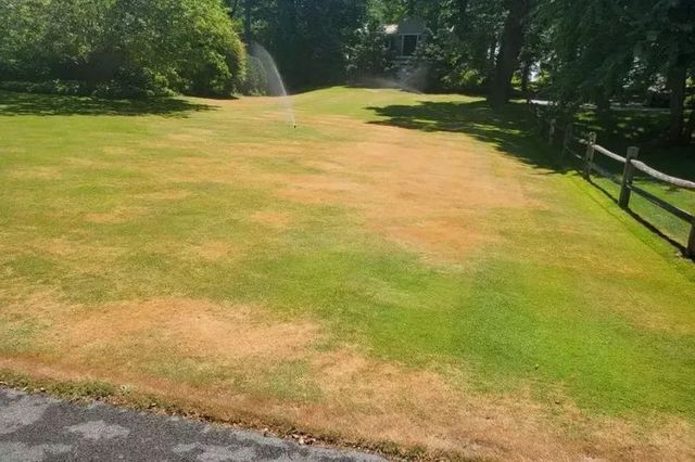Lawn with brown and green patches, sprinklers watering. A wooden fence and trees are visible in the background.