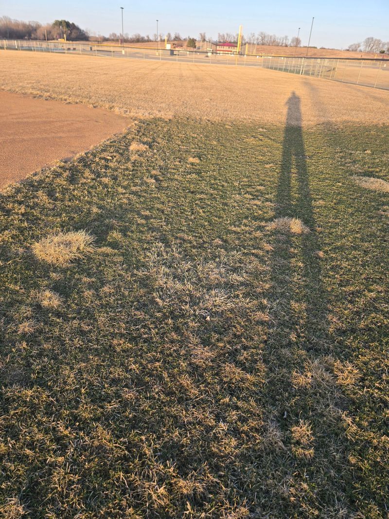 Long shadow of a person in a field. Brown and green grass, with buildings in the distance.