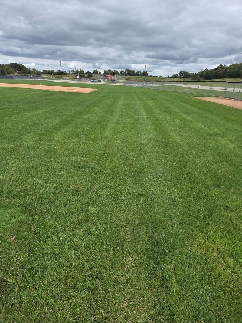 Green grass field with straight mowing lines, cloudy sky.