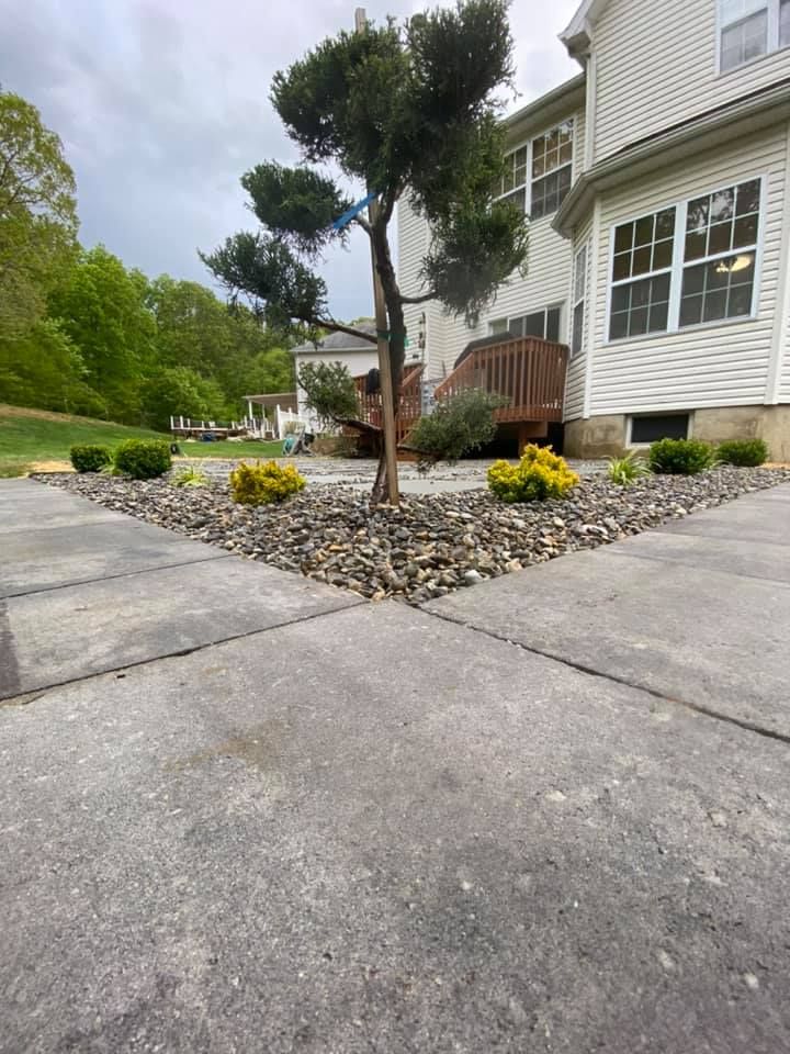 A tree is in the middle of a driveway in front of a house.