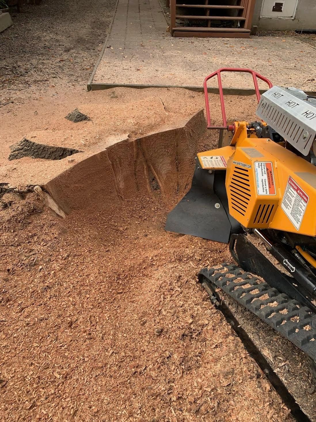 A stump grinder is cutting a large tree stump.