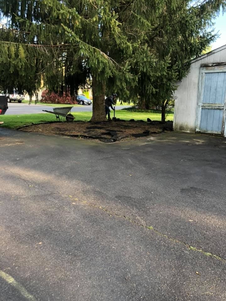 A man is planting a tree in a parking lot next to a garage.
