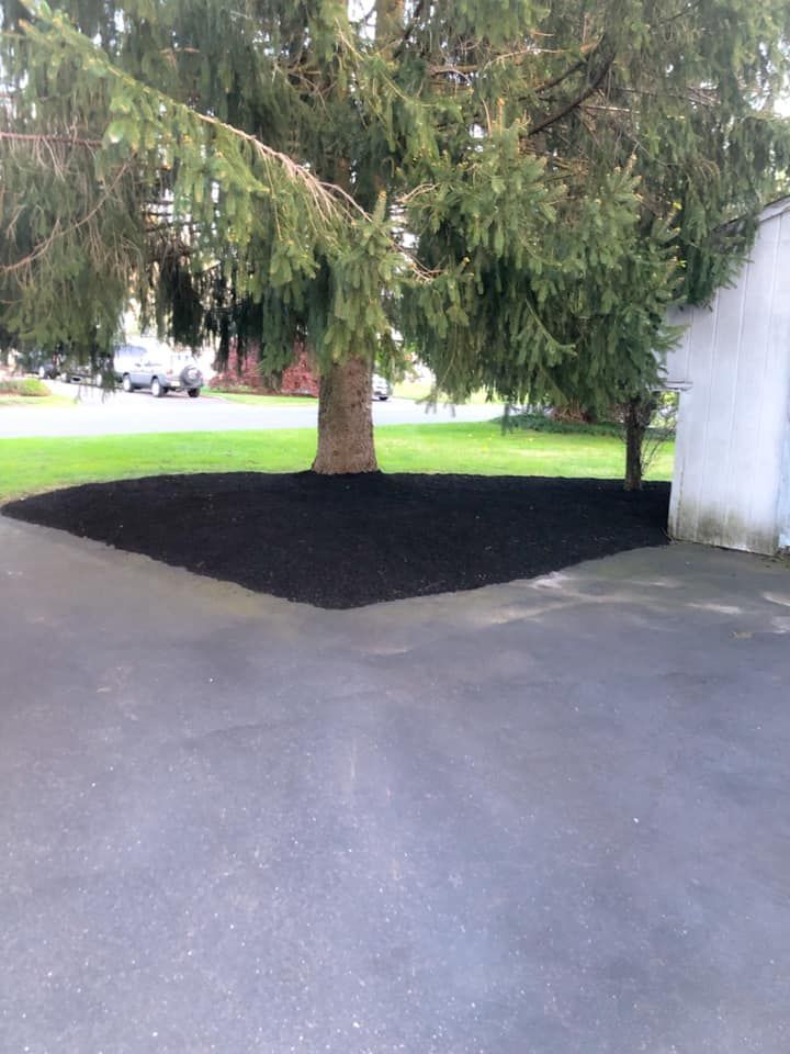 A tree is sitting in the middle of a driveway next to a garage.