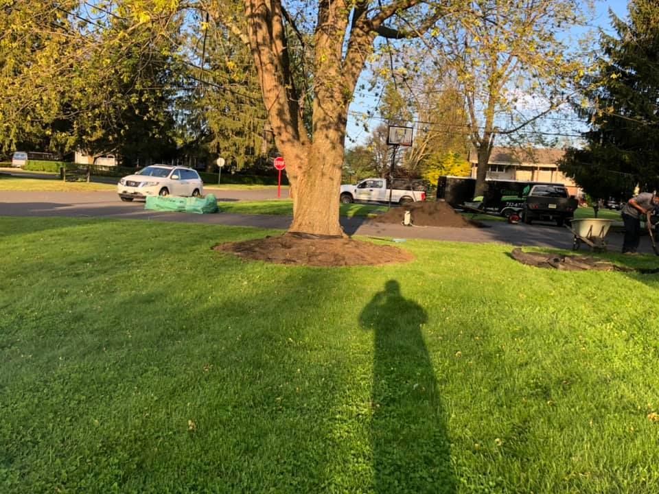 A house with a lush green lawn in front of it.