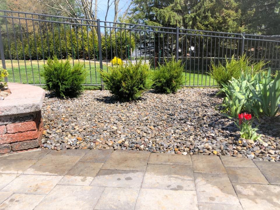 There is a fence in the background and a patio in the foreground.
