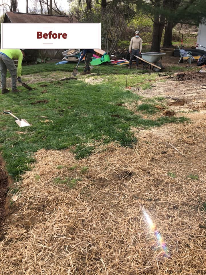 A group of people are working in a yard 
