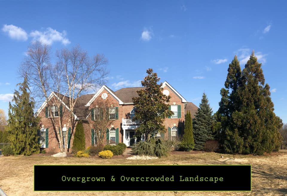 A large brick house with a lot of trees 