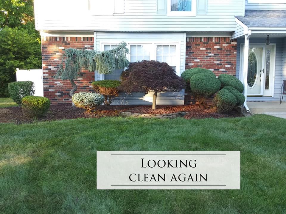 A brick walkway before being cleaned