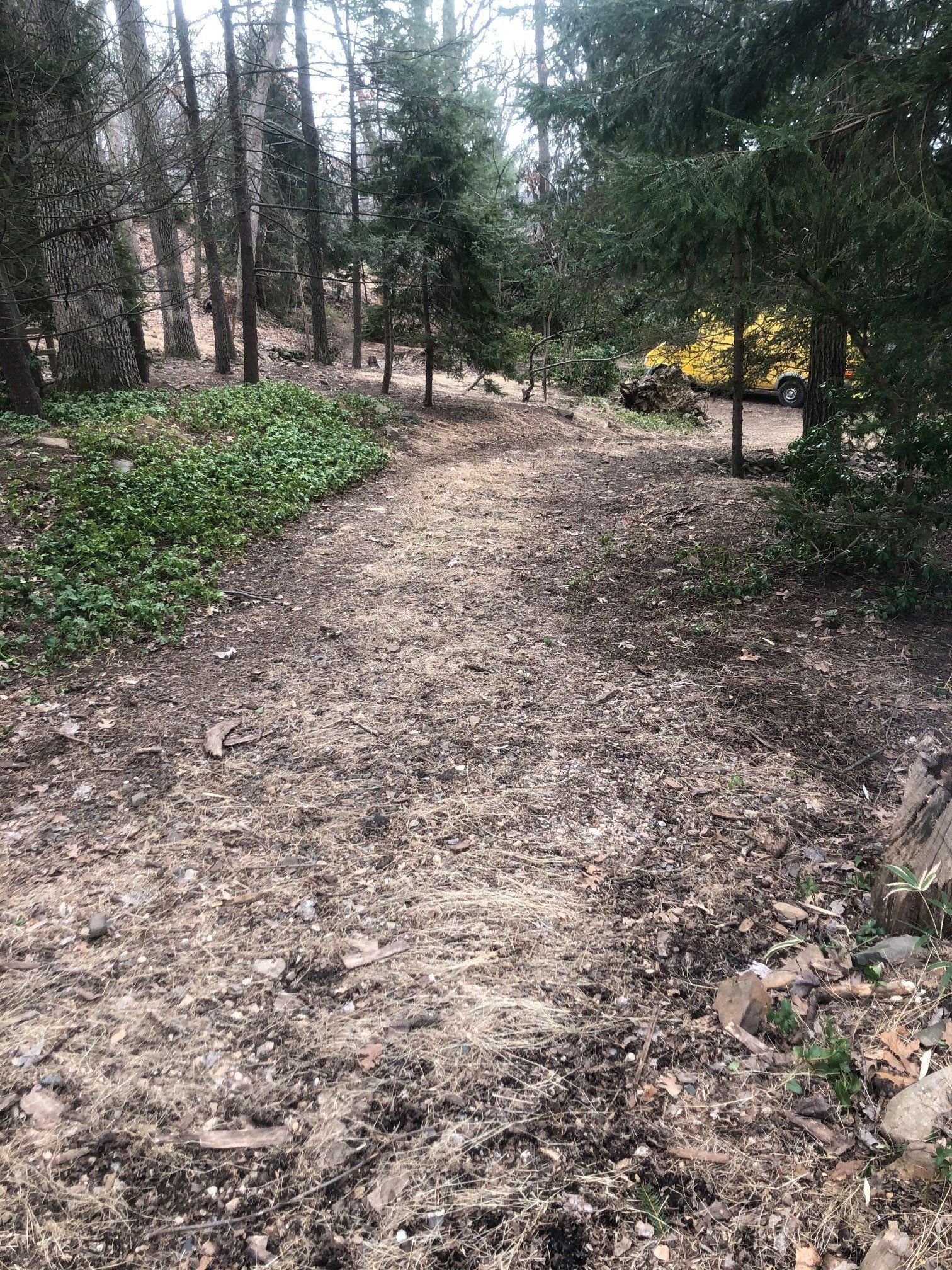 A dirt path in the middle of a forest surrounded by trees