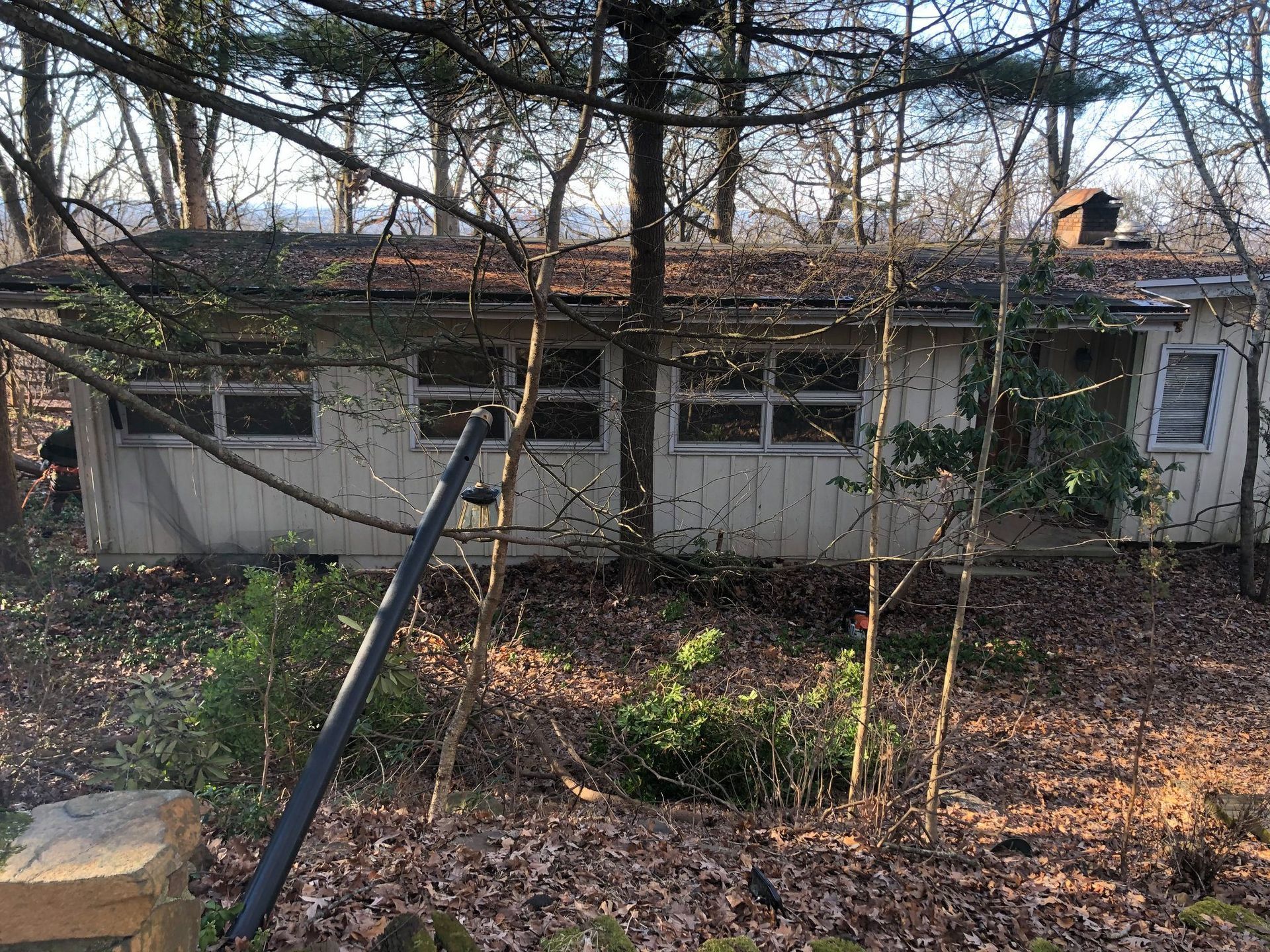 A small white house is surrounded by trees and leaves.