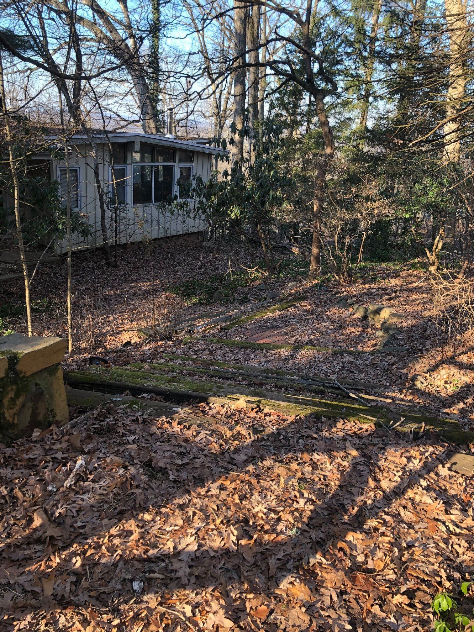 A house is sitting in the middle of a forest surrounded by trees and leaves