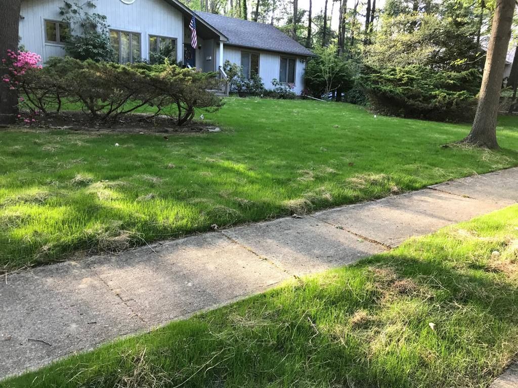 A house with a lush green lawn and a sidewalk in front of it