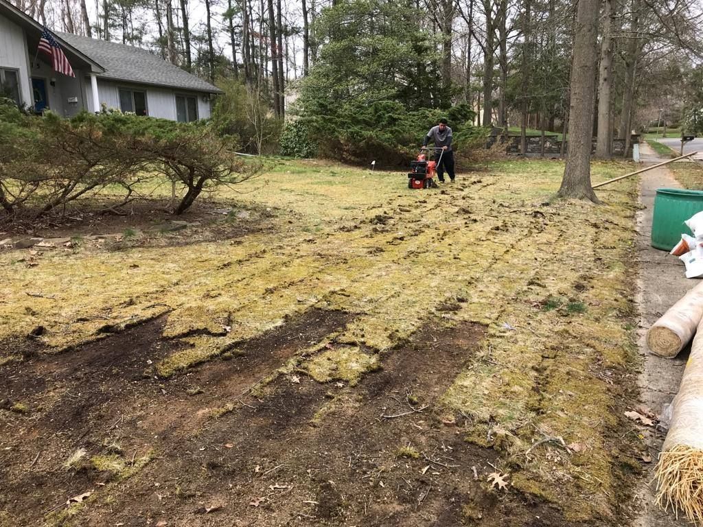 A person is using a lawn mower to remove grass from a lawn
