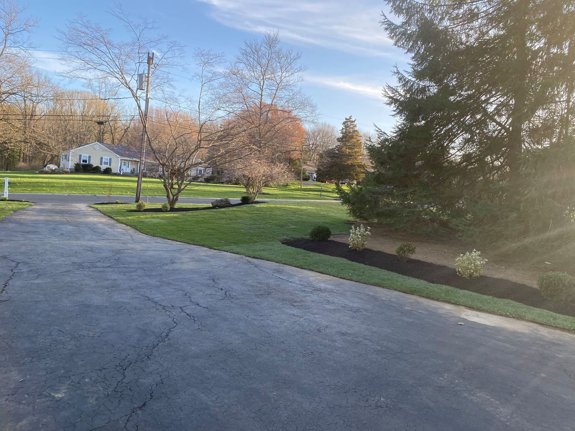 A driveway leading to a house surrounded by trees and grass.