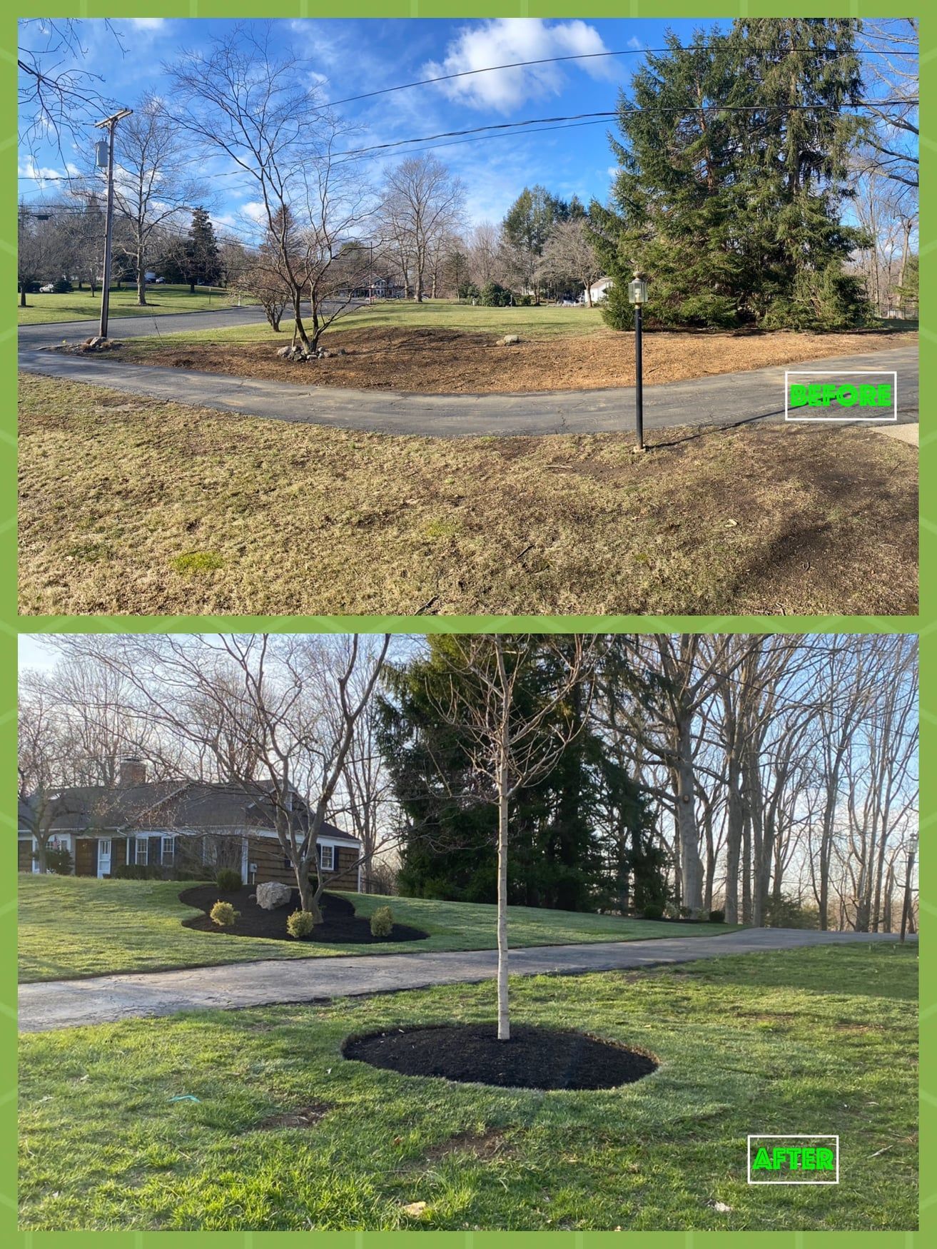 A before and after picture of a tree in a yard