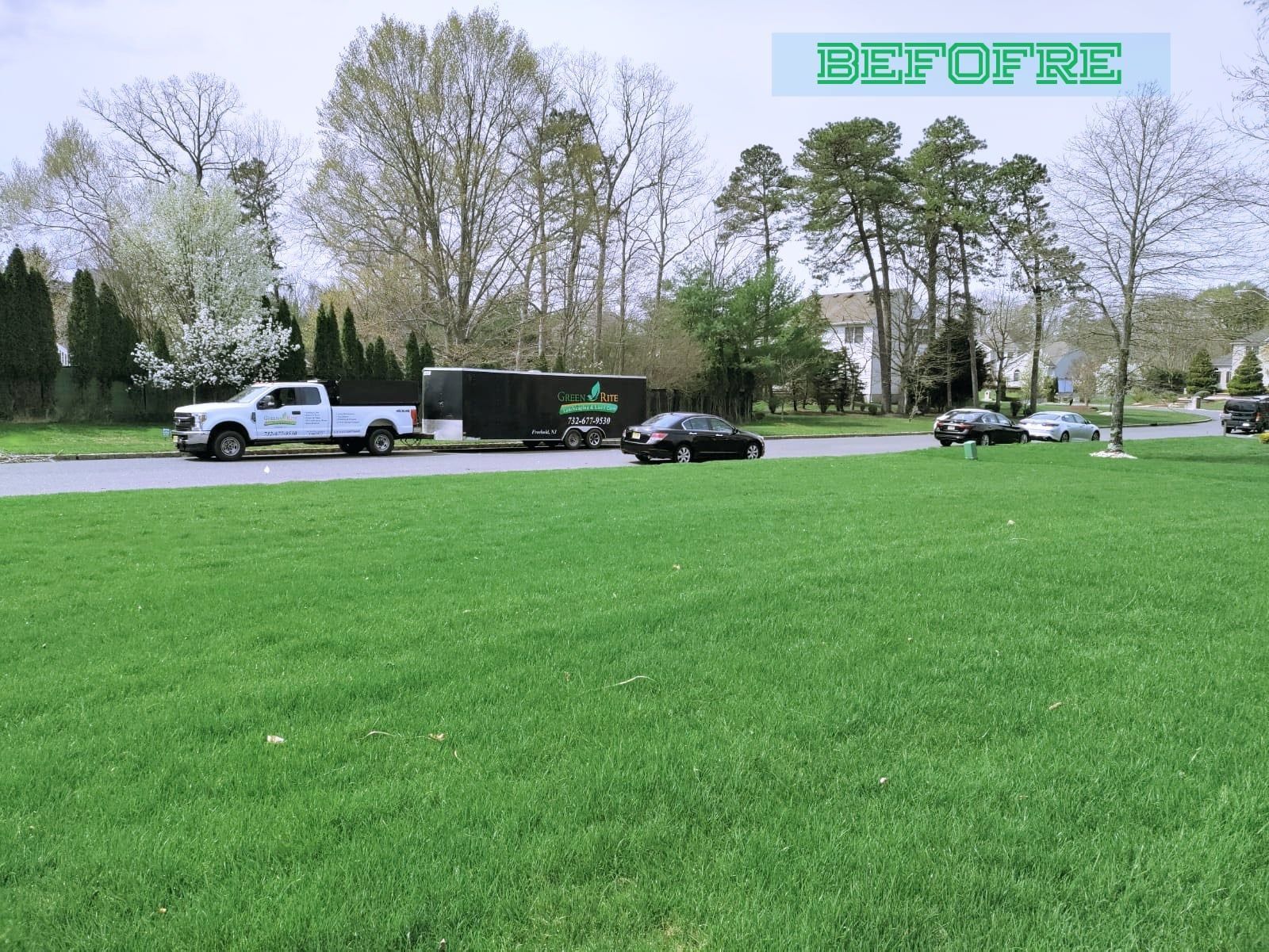 A before picture of a lush green field