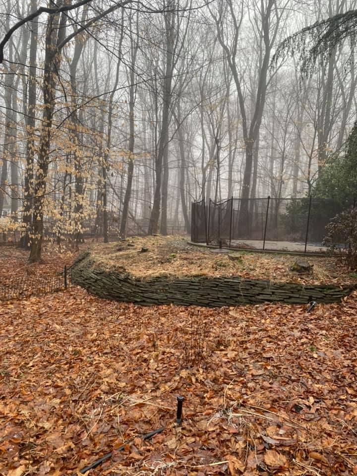 A large log is laying on the ground in the middle of a foggy forest.