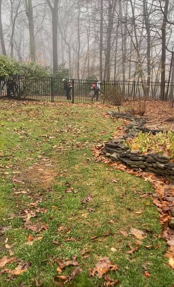 A backyard with a fence and trees in the background on a foggy day