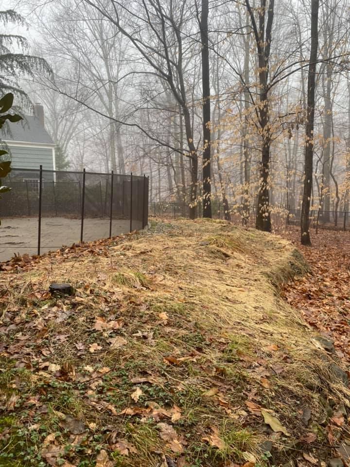 A fence surrounds a grassy hill in the middle of a forest
