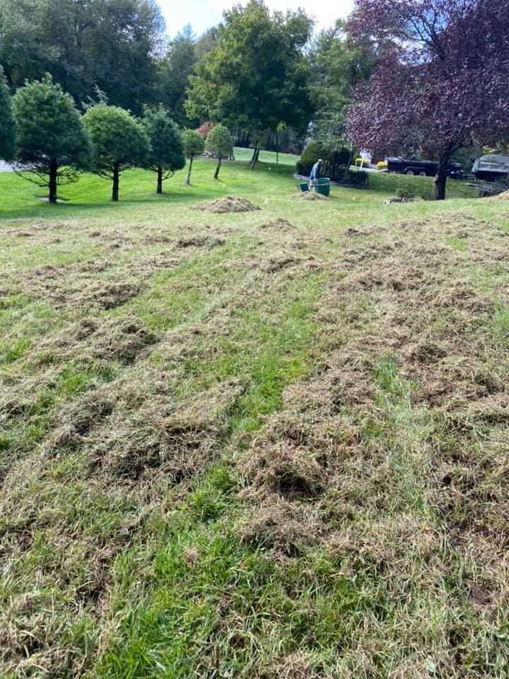 A field of grass with trees in the background and a bench in the foreground