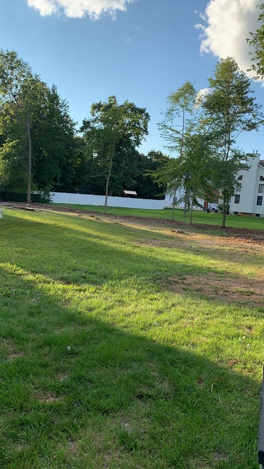 A lush green field with trees 