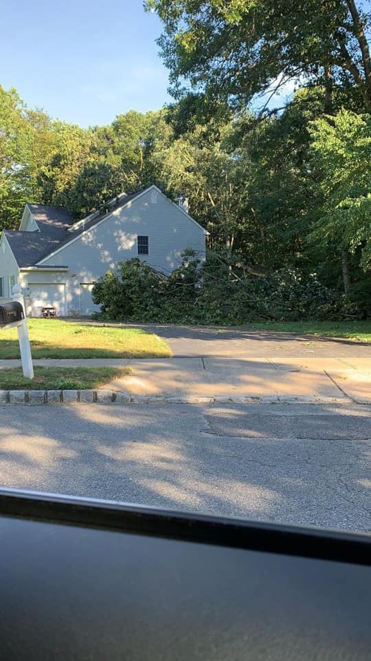 A view of a house from the inside of a car window.