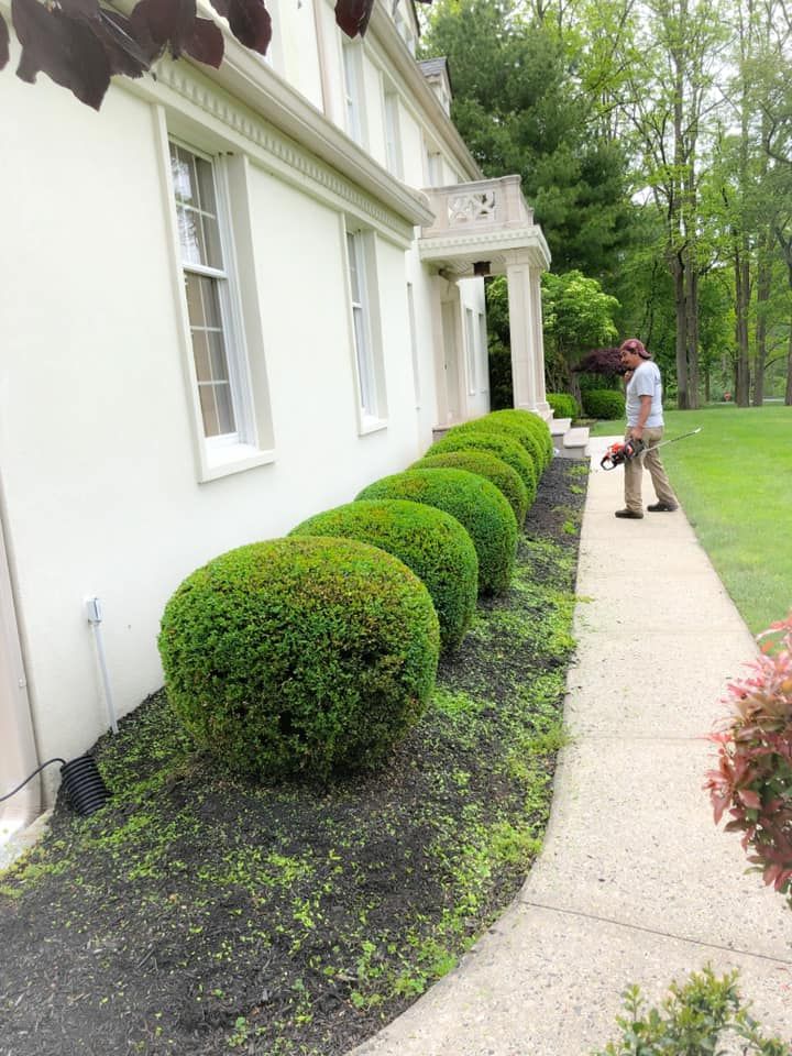 A man is standing on a sidewalk in front of a white house