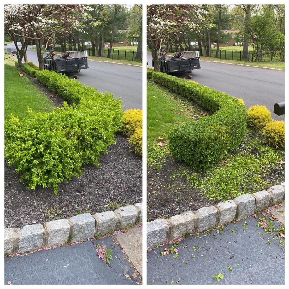 A before and after picture of a garden with a truck in the background.