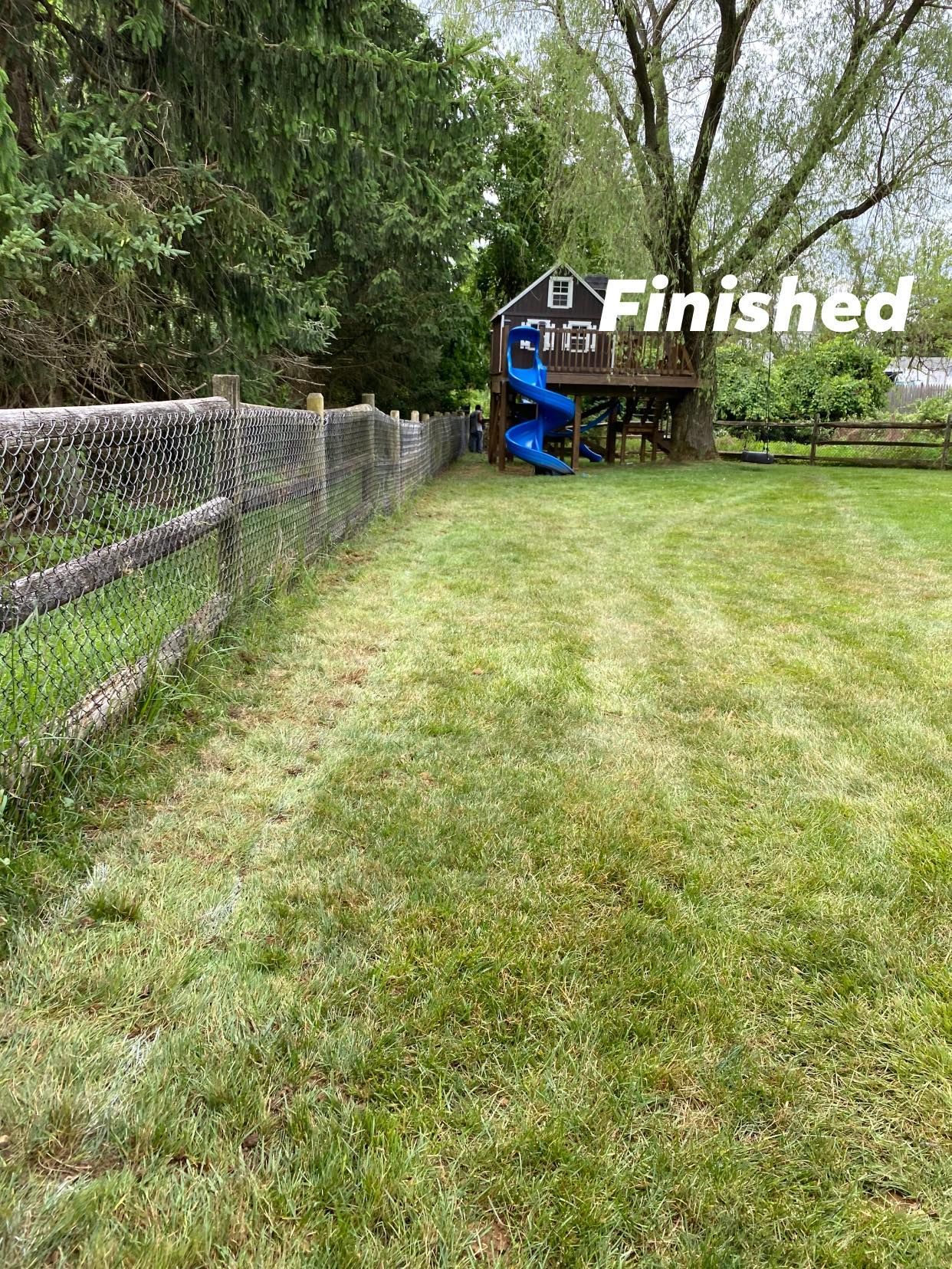 A fenced in yard with a tree house and a slide