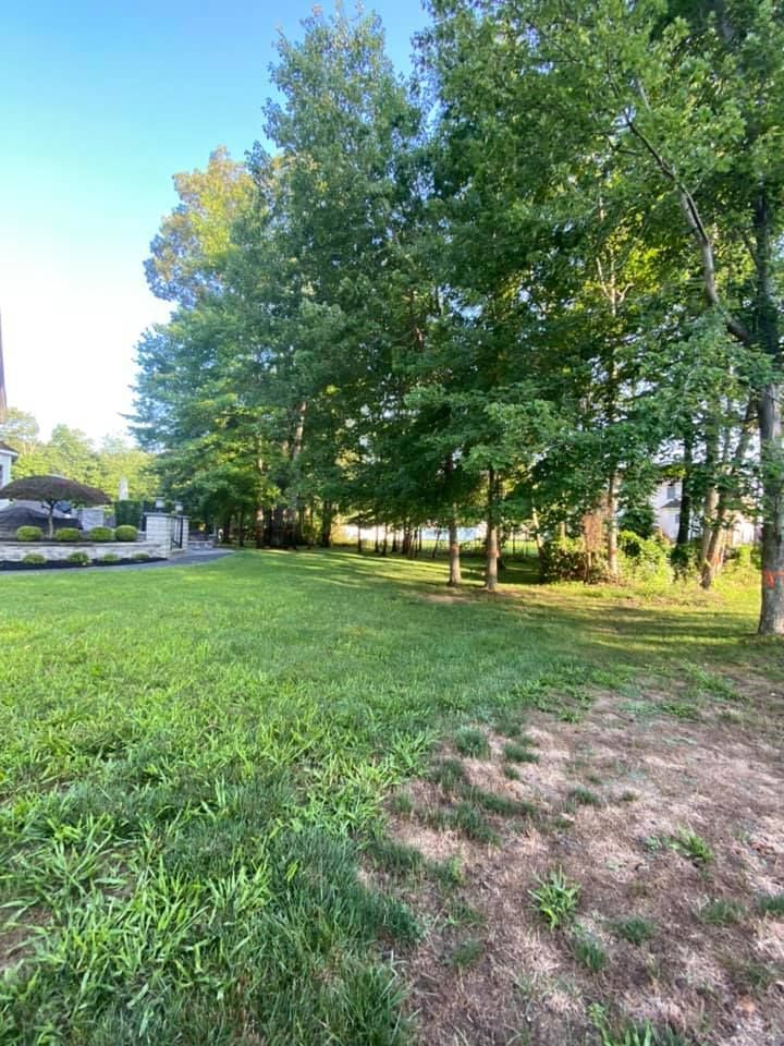 A lush green field with trees and a house