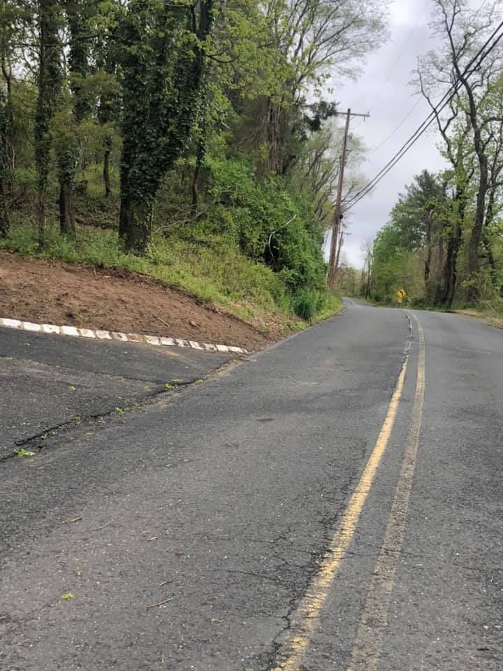 A road with a yellow line on the side of it going through a forest