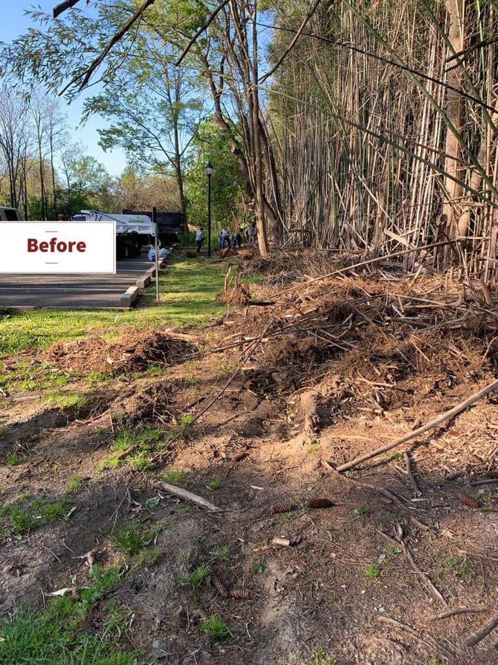 A pile of dirt and trees in a yard