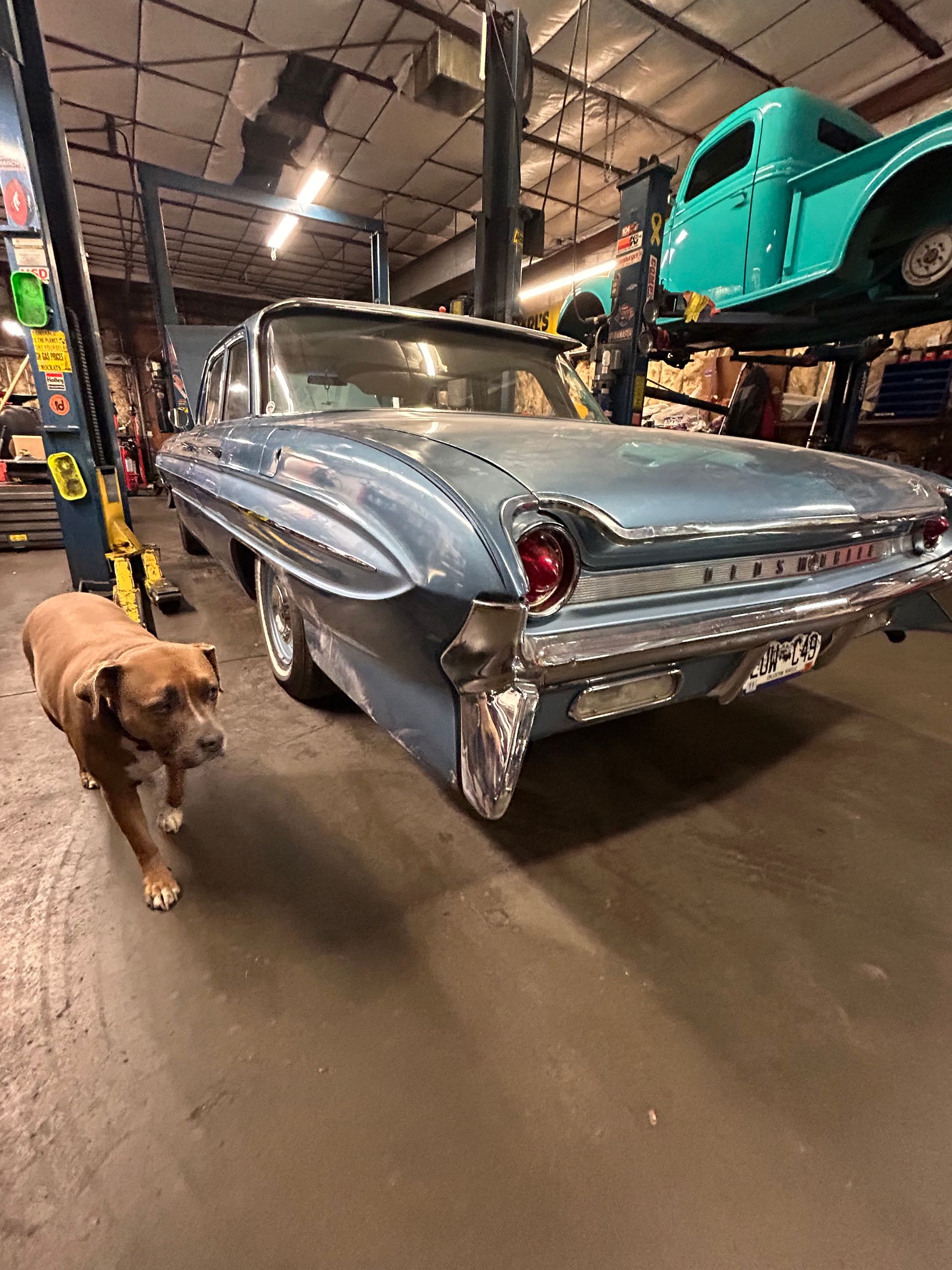 Blue classic car and dog in a mechanic shop. Dog walks toward the camera. Green pickup truck on a lift.