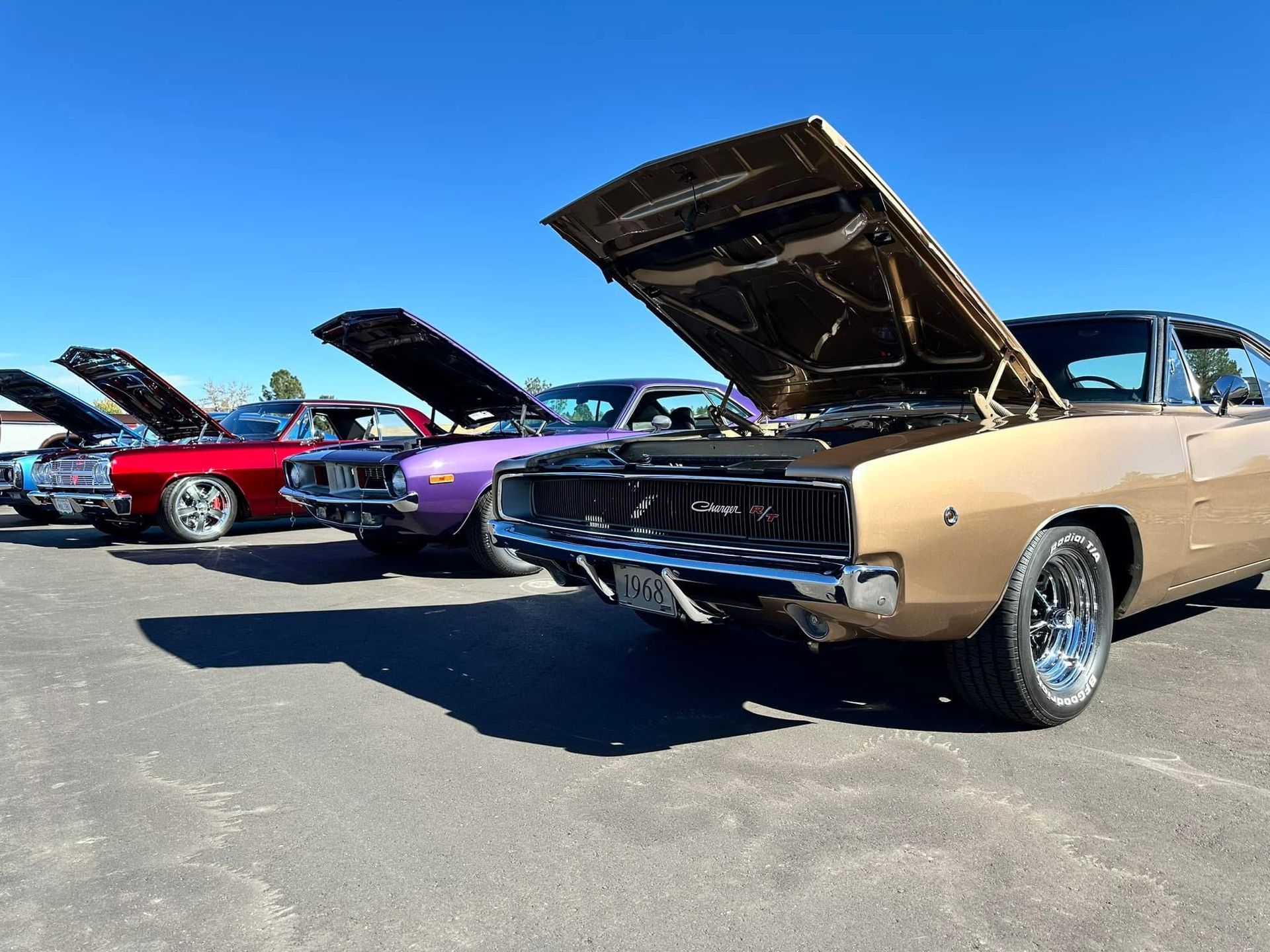 Classic cars with hoods up parked on asphalt, sunny day.